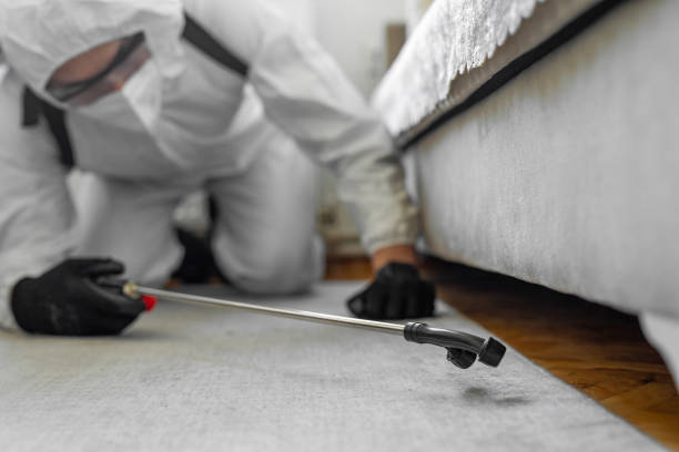 Professional Cockroach Control technician working in Jerome, IL