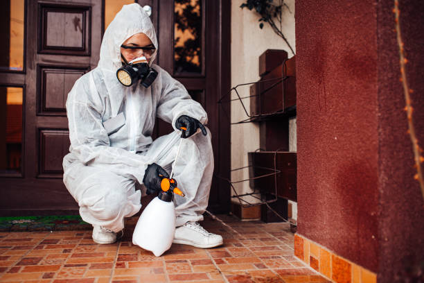 Reliable Cockroach Control contractor in Jerome, IL by Nex Pest Control
