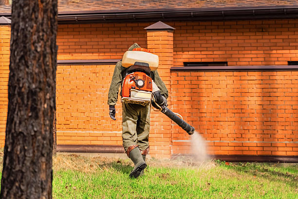 Top rated local Cockroach Control specialists in Jerome, IL